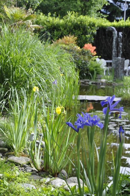 Villa Del Gusto Bellinzona Eksteriør bilde